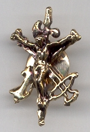 pin ejercito